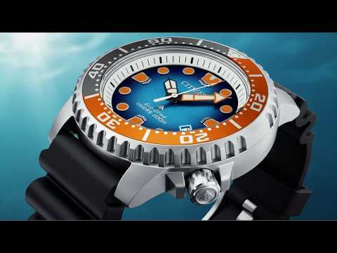 5 Citizen Solar Watches That Changed Everything This Year