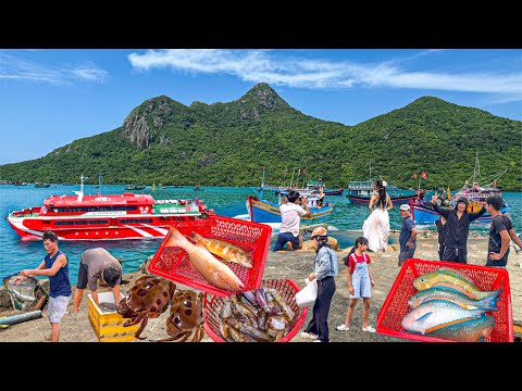 Côn Đảo Mùa Đẹp Nhất Trong Năm | Hòn Đảo Toàn Hải Sản Tươi Sống Giá Trị Cao