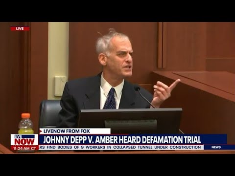 Amber Heard expert witness called Johnny Depp 'idiot' during deposition | LiveNOW from FOX