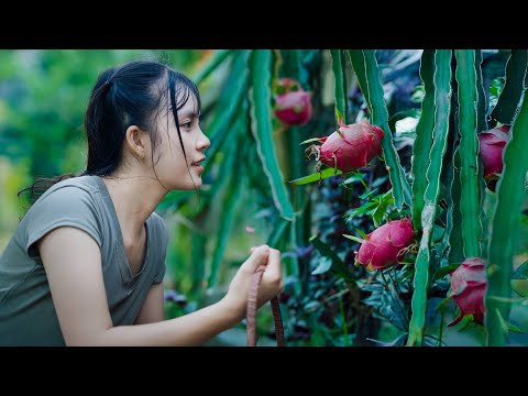 Sun-dried Persimmons, Pitaya Wine, Moon cakes... - Mid-Autumn Festival Reunion With Family