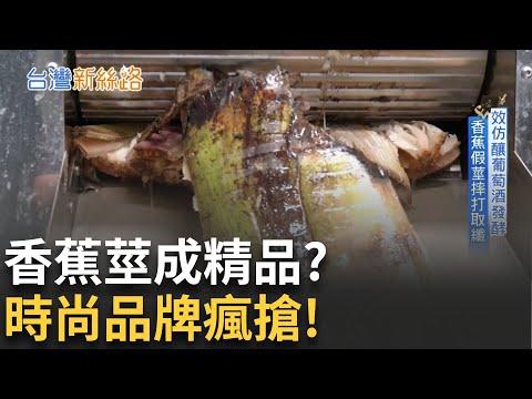 香蕉莖變高級素皮! 台灣用農廢打進歐洲時尚圈 香蕉不只能吃! MIT新材料顛覆你對皮革的想像│【台灣新思路】20250731｜三立iNEWS