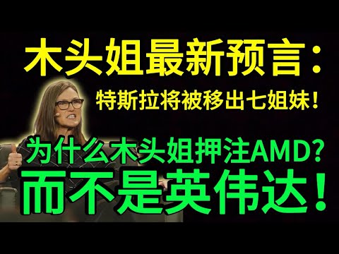 木头姐最新警告：美联储可能犯错，特斯拉将移出七姐妹！未来5年的投资机会与风险解析！#美股 #特斯拉#木头姐 