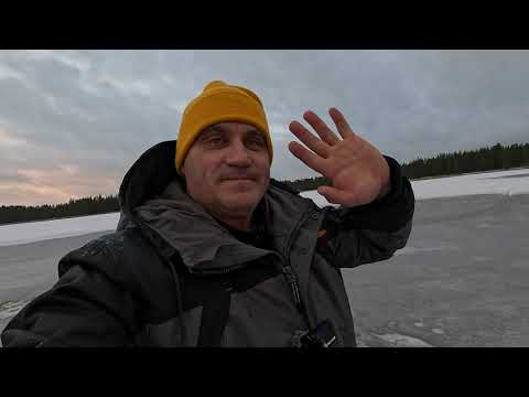 Рыбалка на лесном озере. Окунь ловиться. Щука капризная.