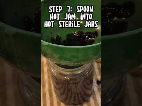 I Made Jam From Berries I Picked Myself!