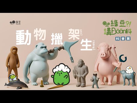 科普 第八講｜動物驚人技能：工具使用的案例
