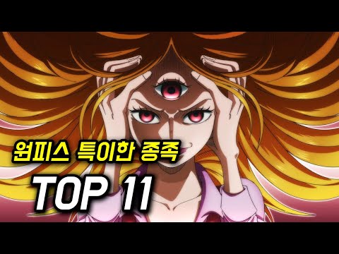 원피스 특이한 종족 TOP 11 (총정리 한 거임)