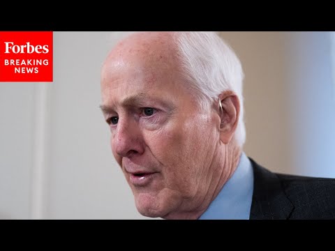 'We Should All Find This Development Alarming': Cornyn Decries Low Voter Turnout In Local Elections
