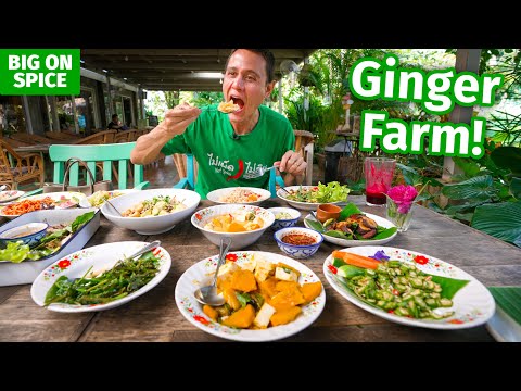 Thai Food Farm - 9 Dishes at Ginger Farm in Chiang Mai, Thailand!!