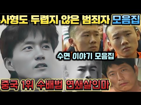 [중국실화] 진짜 법을 무시하고 사형도 두려워 하지 않는 중국 사형수들 모음집ㅣ중국 1위 수배범의 체포과정ㅣ한밤에 21명 연쇄살인사건ㅣ수면모드ㅣ수면이야기 모음집