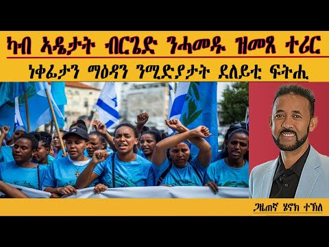 ERIPM |ካብ ኣዴታት ብርጌድ ንሓመዱ ዝመጸ ተሪር ነቀፊታን ማዕዳን ንሜድያታት ደለይቲ ፍትሒ| Henok Tekle