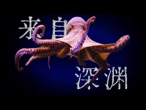 Belemnoidea: The Cycle of Fate