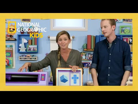Master Crafters 🧵 | Weird But True Full Episode | @natgeokids