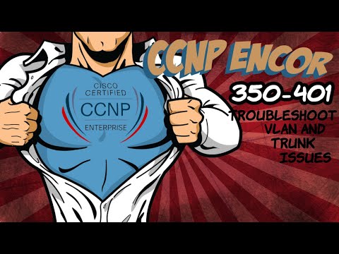 ENCOR Section 3 - Implementing Campus LAN Connectivity