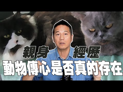 【親身經歷】動物傳心是否真的存在？｜乜乜棠水舖