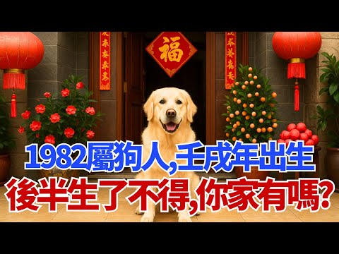 1982年屬狗人，壬戌年出生，後半生「了不得」！你家有嗎？#屬狗 #1982年 #壬戌 #命理 #運勢 #財運 #事業 #生肖 #五行 #生肖運勢 #屬狗運勢 #厚積薄發 #土克水 #命格 #有福人