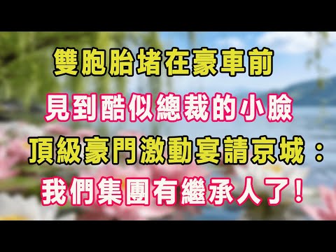 雙胞胎堵在豪車前，見到酷似總裁的小臉，頂級豪門激動宴請京城：我們集團有繼承人了！#甜寵  #情感故事  #現代言情  #小説