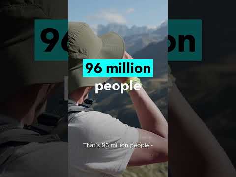 Everyone is obsessed with birds