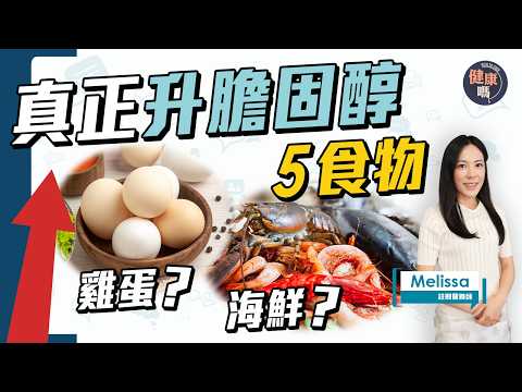 升膽固醇隱藏5類食物！雞蛋可以吃？1款餅乾竟不健康？注意三高 脂肪肝 慢性發炎｜健康嗎‪ @HealthCodeHK 【Chat醫D】#cholesterol #膽固醇