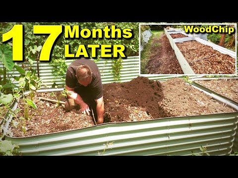 What Happens to Woodchips in the Base of a Raised Garden Bed?