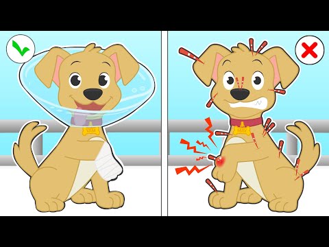 BABY PETS 🐕🦔 What Happens When You Try to Save Max the Dog from Porcupine Quills?