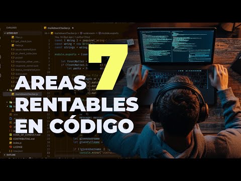 7 áreas muy bien pagadas para programadores