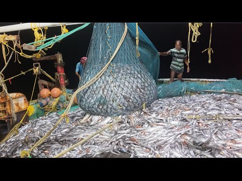 💢Day -9 Epic2💯 We Got a Lottery In Last Day Of Fishing In Trawl Net🥅