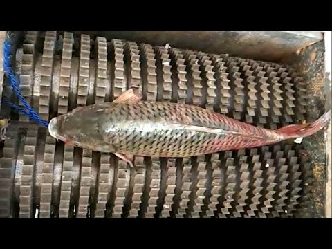 Amazing Machines and Tools Operating At An INSANE LEVEL ▶ 2