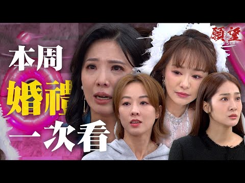 精華一次看｜婚禮大報應一次看！詩涵作惡死性不改 麗君崩潰撕爛婚紗！回心轉意求真女兒原諒 冬雨的反應是？｜#願望 EP223-227｜三立台劇