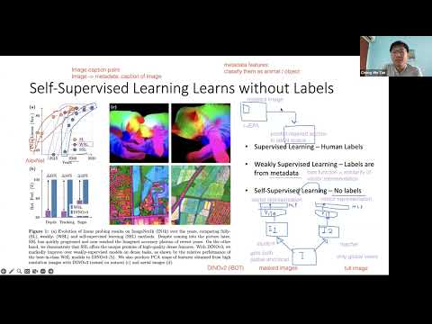 DINOv3: One backbone, multiple image/video tasks