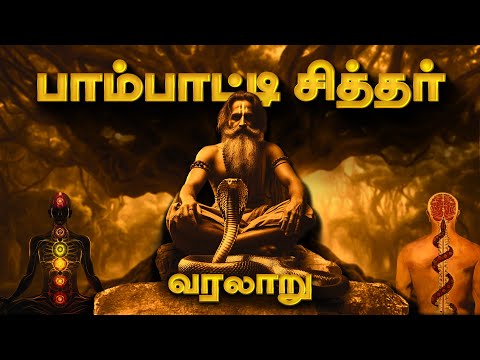 Paambatti Sithar History 🐍 பாம்பாட்டி சித்தர் வரலாறு | Siddhar Ragasiyam in Tamil