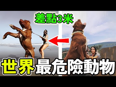 世界上最危險的動物，咬合力堪比切割機，第一名是人類的10倍，被稱為頂級獵食者！#世界之最 #动物 #科普 #世界之大