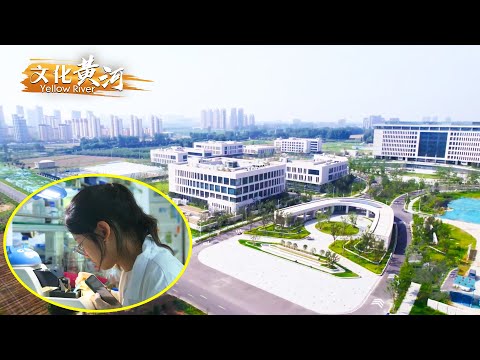 第76集:揭秘神农种业实验室的农业“芯”动力,探索新乡农业种业的崛起之路——在水一方 活力新乡 【天下黄河】| 文化黄河 Yellow River