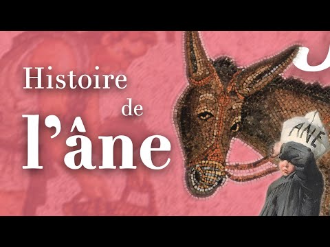 L’historien face à l’animal : l’exemple de l’âne