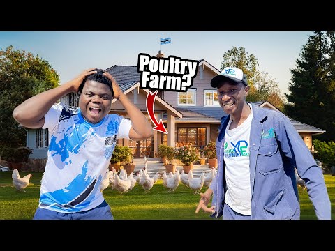 This man builds Luxury House for chickens