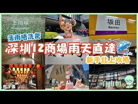 Rainy Day Shenzhen Guide: 12 Metro Malls | Convention Ctr, Shangmeilin, Luohu & More