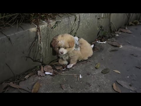 Still here, huh? Oh, so you don't have a home...