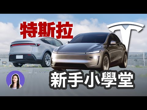 The Ultimate Tesla Beginner's Guide - All 4 Models & Options Explained!