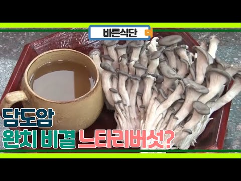 담도암 완치, 느타리버섯을 먹어라?