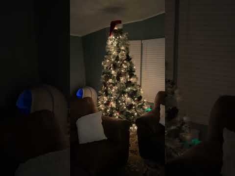 O Christmas Tree