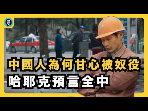 哈耶克的預言如何在中國逐一實現？｜計畫經濟為何走向奴役？｜中國式馴化｜零公里二手車｜房市｜石黑一雄《別讓我走》｜《通向奴役之路》｜宇文老師