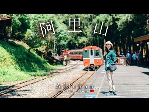 Journey to Alishan, the most beautiful natural area in Taiwan