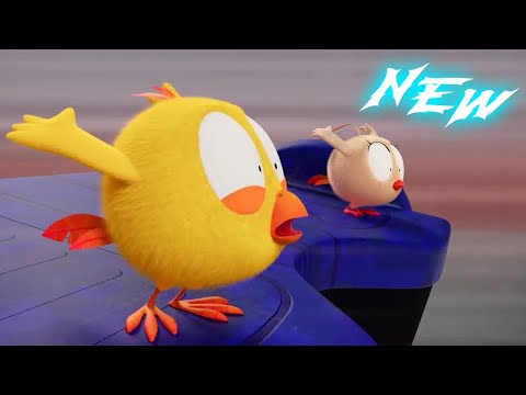 (NEW) Fast Ride with Bekky | Where's Chicky? | Cartoon Collection in English for Kids | New episodes