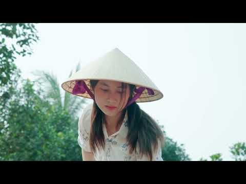 7day  Free Building Farm Life, Build Road, OFF GRID - Chinh free bushcraft - EP1