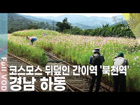유명 소설 '역마'의 무대이자 '토지'의 배경이 된 곳! 코스모스 피어 있는 남녘 들판. 경남 하동 [풍경이 있는 여행 KBS 20090926 방송]
