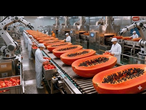 Modern Papaya Juice Factory Tour: Step-by-Step Process from Fresh Papayas to Bottled Juice