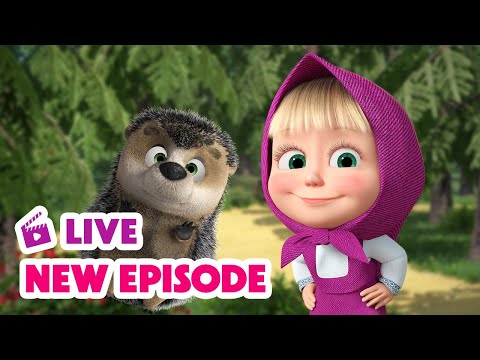 🔴 LIVE STREAM 🎬 Masha and the Bear 🆕 New Episode 🔥