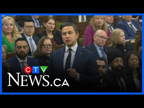Poilievre looking for 80%-plus in leadership review: analyst | Alberta Primetime