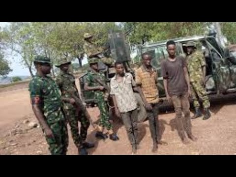 BANDITS AMBUSHED IN ONDO FOREST as Amotekun Captures Their Leader