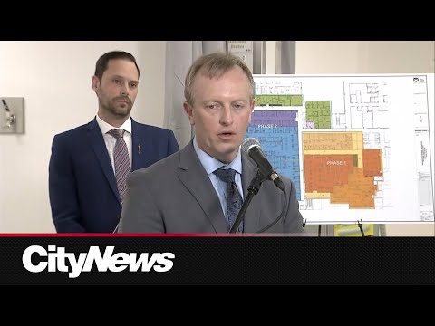 Alberta doctors detail ER waiting room deaths