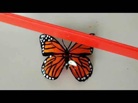 Como fazer Borboleta de garrafa - Decoração de Jardim cantinho charmoso